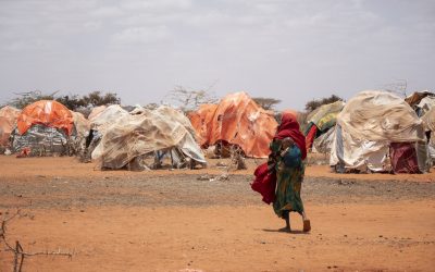 Findings from two rounds of the Somalia Displacement Phone Survey (2022)